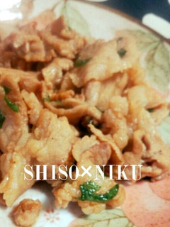 大葉×豚肉の簡単レシピ-レシピのメイン写真