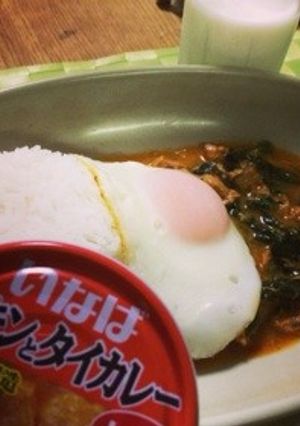 いなばのタイカレー☆アレンジレシピ！-レシピのメイン写真