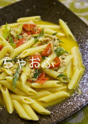 ねぎ大量消費　たっぷりネギとツナのペンネ-レシピのメイン写真