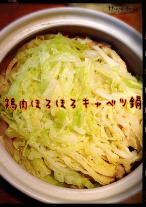 初心者向き？鶏肉ほろほろキャベツ鍋-レシピのメイン写真