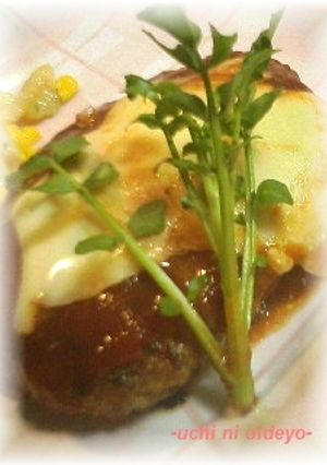 爽☆パセリとレモンの♪大人のハンバーグ-レシピのメイン写真