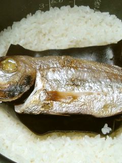 庶民の味方?!干物の鯛deお手軽鯛めし-レシピのメイン写真