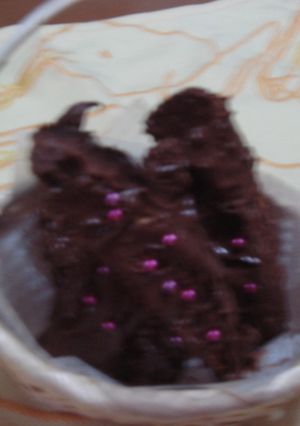 チョコレートラスク-レシピのメイン写真