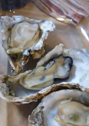 カキのレンジ蒸し-レシピのメイン写真