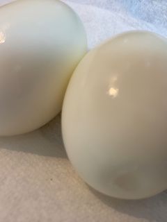 味玉-レシピのメイン写真