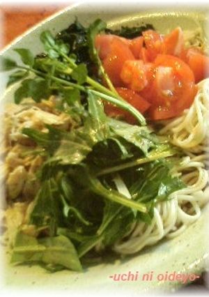 いろいろのっけて♪夏休みのごまドレ素麺-レシピのメイン写真