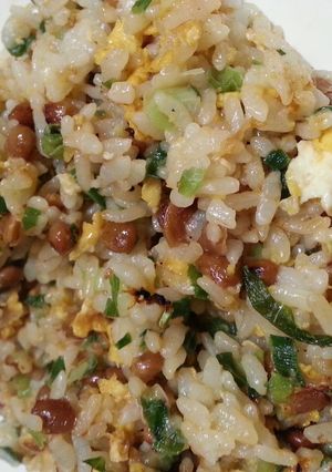 おひとり様用☆簡単 納豆チャーハン-レシピのメイン写真