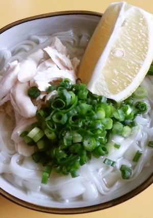 フォーガー風、即席稲庭うどん♪-レシピのメイン写真
