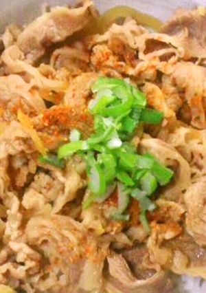 ガッツリ牛丼♪-レシピのメイン写真