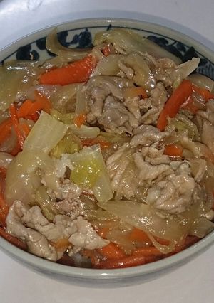 野菜たっぷり豚肉丼-レシピのメイン写真