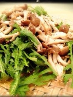 旬の春菊&しめじサラダ♡お肉に合わせて!-レシピのメイン写真