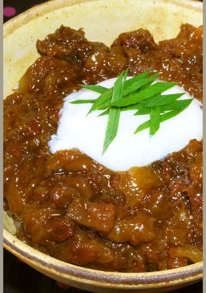 肉マニア考案牛すじと温泉卵で男のロマン丼-レシピのメイン写真