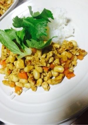 節約！簡単！ヘルシードライカレー-レシピのメイン写真