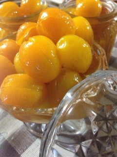 金柑の蜜煮-レシピのメイン写真