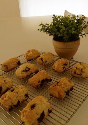 チョコスコーン-レシピのメイン写真