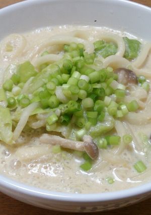 ほっこり温まる豆乳味噌うどん-レシピのメイン写真