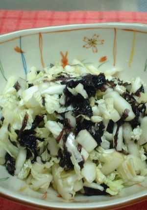 白菜の岩海苔和え-レシピのメイン写真