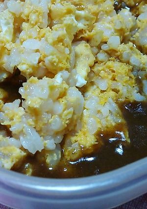 一人ご飯☆ビーフシチューオムライス風-レシピのメイン写真