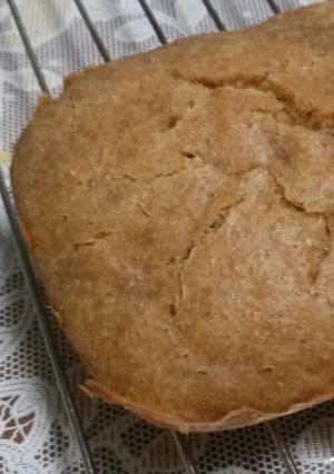 こだま酵母で作る全粒粉蒸しパン-レシピのメイン写真