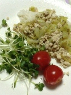 キャベツと鶏ひき肉のごはん-レシピのメイン写真