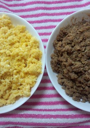 ☆おから入ﾍﾙｼｰ二色丼☆-レシピのメイン写真