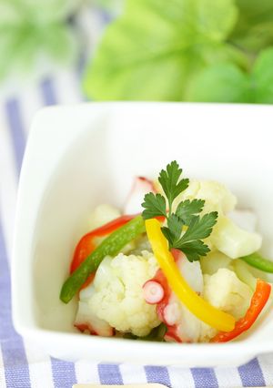 タコと彩り野菜のマリネ✤-レシピのメイン写真