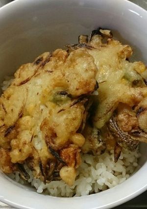 海鮮かき揚げ丼-レシピのメイン写真