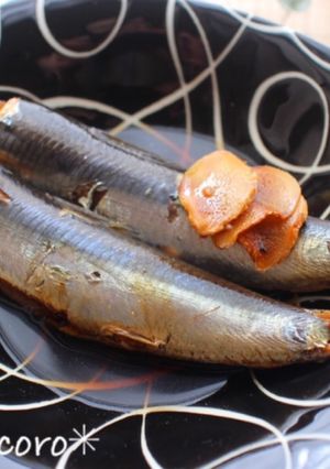m塩鰯deしょうが煮-レシピのメイン写真