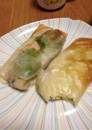 変わり春巻き•トンカツ風-レシピのメイン写真