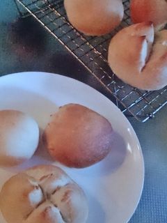 ちょっとハードな丸パン(HB使用)-レシピのメイン写真