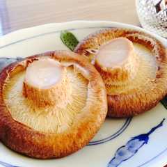 รูปของ 椎茸の1番美味しい食べ方☆レンチン椎茸