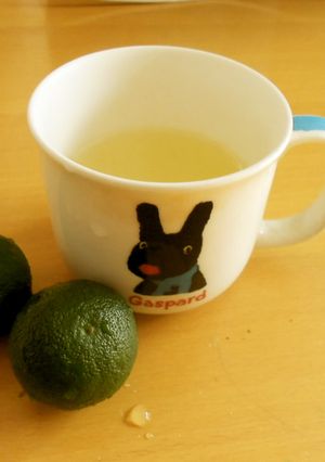 すだちレモネードくず湯-レシピのメイン写真