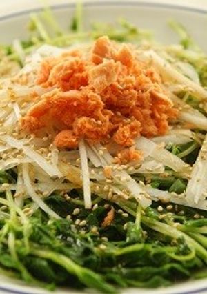 あったか豆苗サラダ-レシピのメイン写真