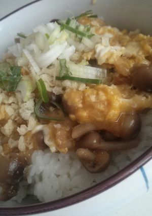 たぬきのこ丼♪簡単、ランチ♪-レシピのメイン写真