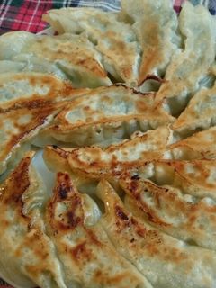 餃子の美味しい焼き方-レシピのメイン写真