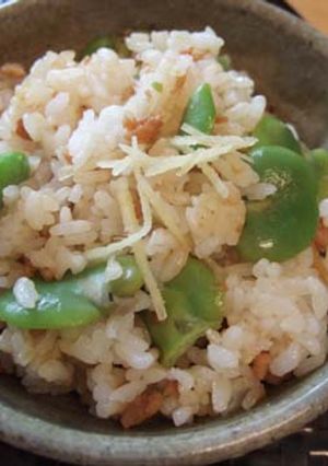 春だ空豆・そぼろのご飯-レシピのメイン写真