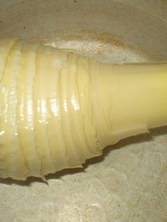 生たけのこを煮てみよう!!-レシピのメイン写真