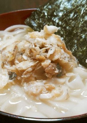 本格出汁の美味しいうどん-レシピのメイン写真