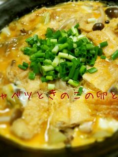ヘルシ~!キャベツときのこの卵とじ-レシピのメイン写真