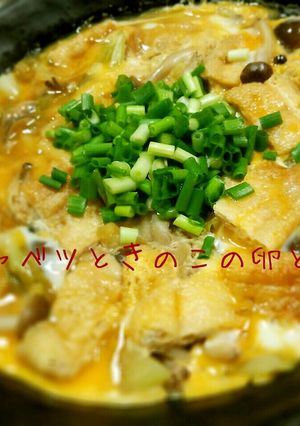 ヘルシ~!キャベツときのこの卵とじ-レシピのメイン写真