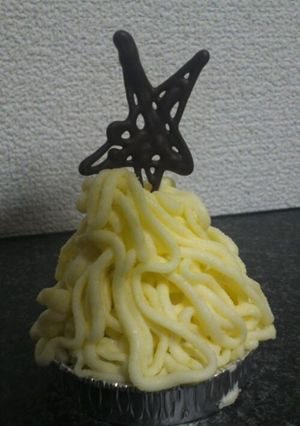 クリスマス風モンブラン-レシピのメイン写真