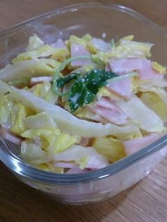 ☆レンチン白菜サラダ☆-レシピのメイン写真