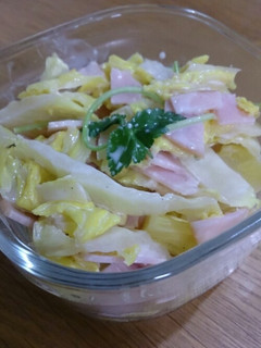 ☆レンチン白菜サラダ☆-レシピのメイン写真