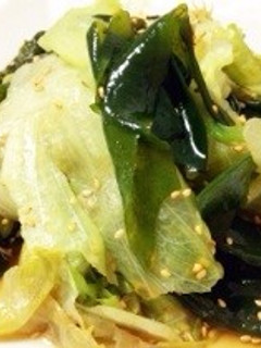 レタスとワカメの中華風サラダ-レシピのメイン写真