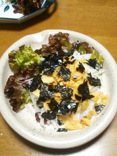 簡単大根サラダ-レシピのメイン写真