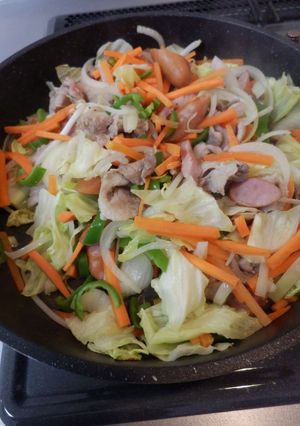 ペミカン風肉野菜炒め（野菜ストック用）-レシピのメイン写真