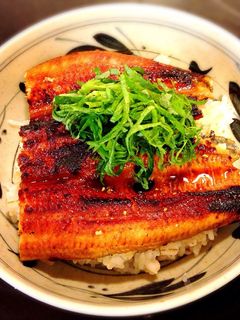 冷凍うなぎでも美味しくうな丼!-レシピのメイン写真