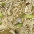 キノコたっぷり パスタソース