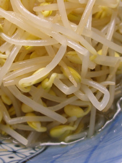 豆もやしのナムル-レシピのメイン写真