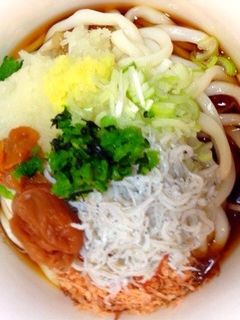 梅*ちりめん*さっぱりうどん-レシピのメイン写真